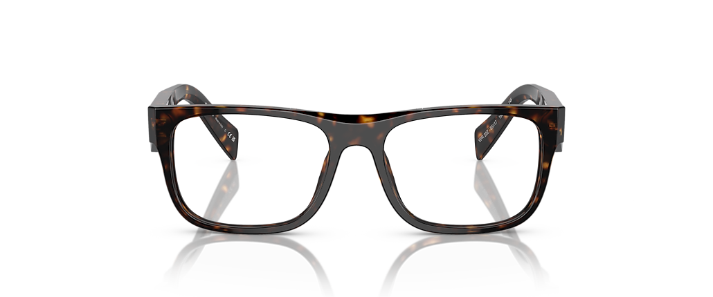 Prada PR 22ZV Loden/Black Frames
