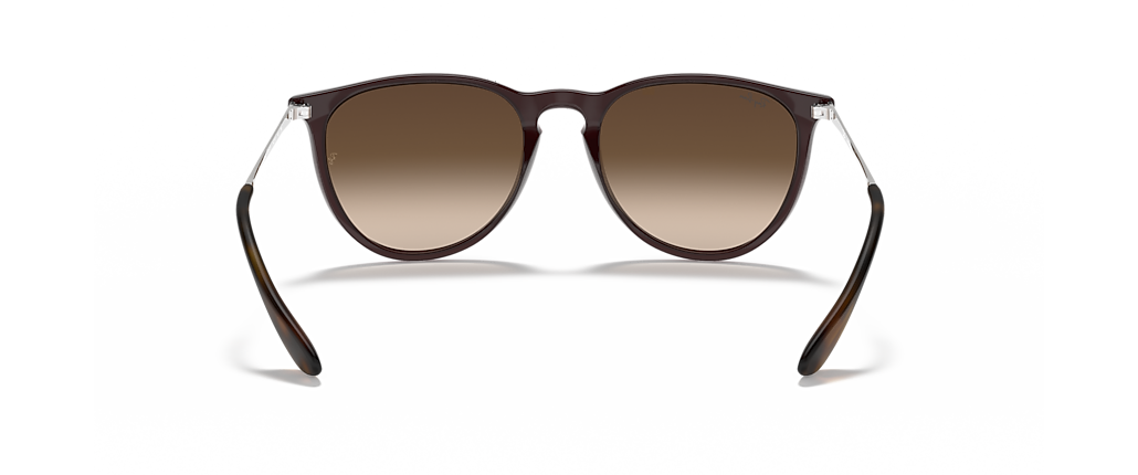 Ray-Ban RB4171 Erika Classic Blue Sunglasses