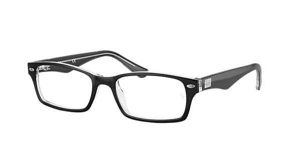 RAY-BAN RB5206 Optics