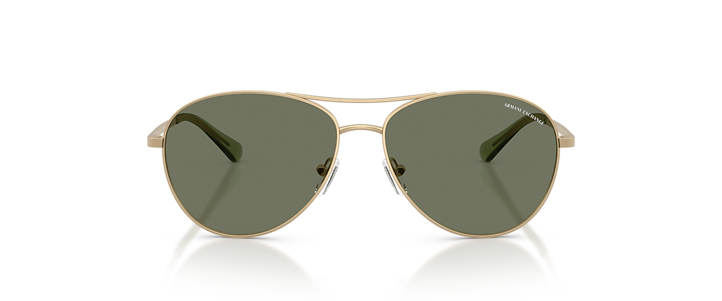 Armani Exchange AX2061S Matte Pale Gold Sunglasses