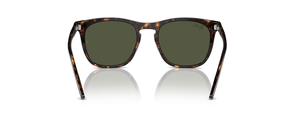 Ray-Ban RB2210 Havana Sunglasses