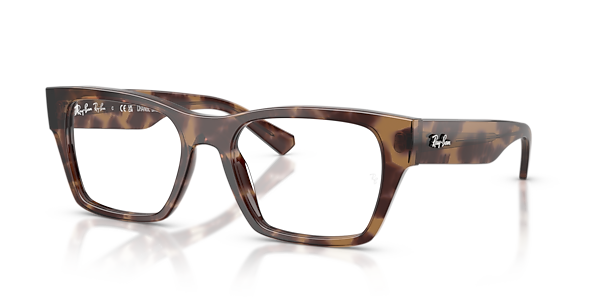 Ray-Ban RB5448 Optics
