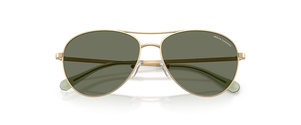 Armani Exchange AX2061S Matte Pale Gold Sunglasses