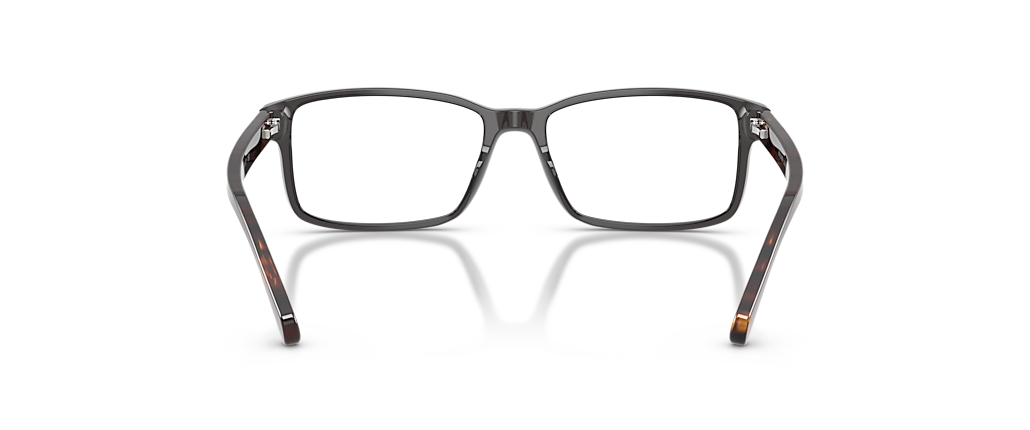 Polo Ralph Lauren PH2123 Shiny Transparent Grey Frames