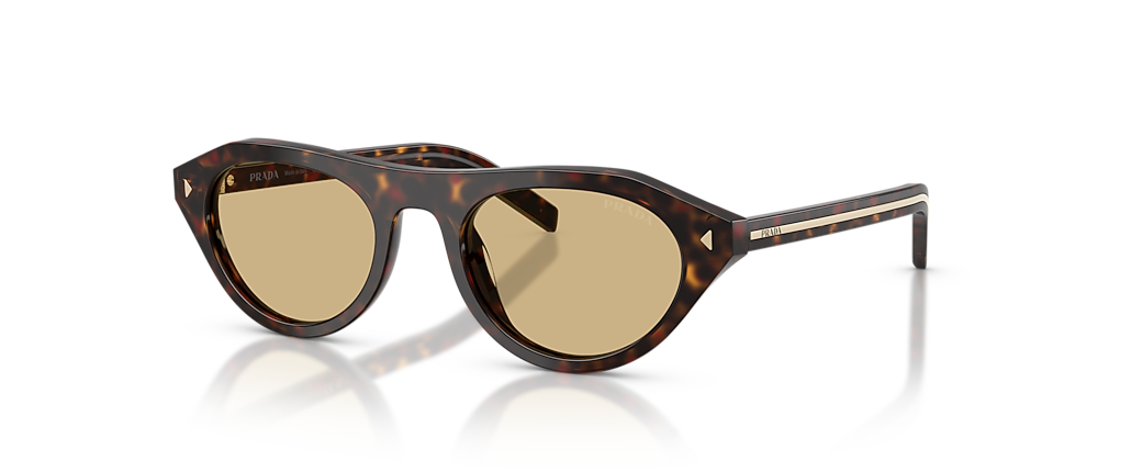 Prada PR B15SF Root Tortoise Sunglasses