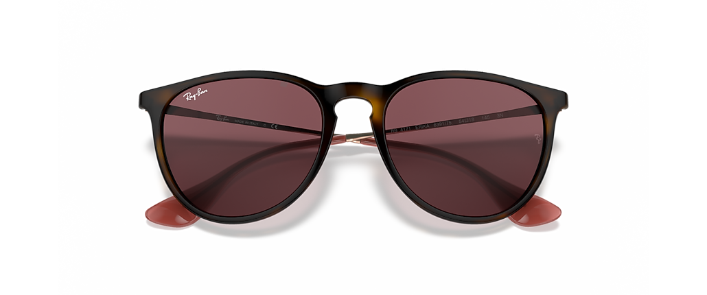 Ray-Ban RB4171 Erika Color Mix Havana Sunglasses