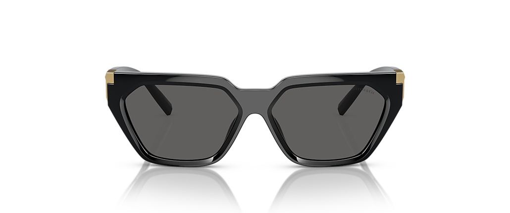 Tiffany & Co. TF4205U Black Sunglasses
