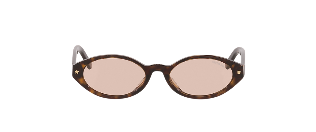 DIOR Diorpacific R1I Brown Sunglasses