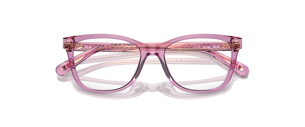 Coach HC6235U Transparent Amethyst Frames