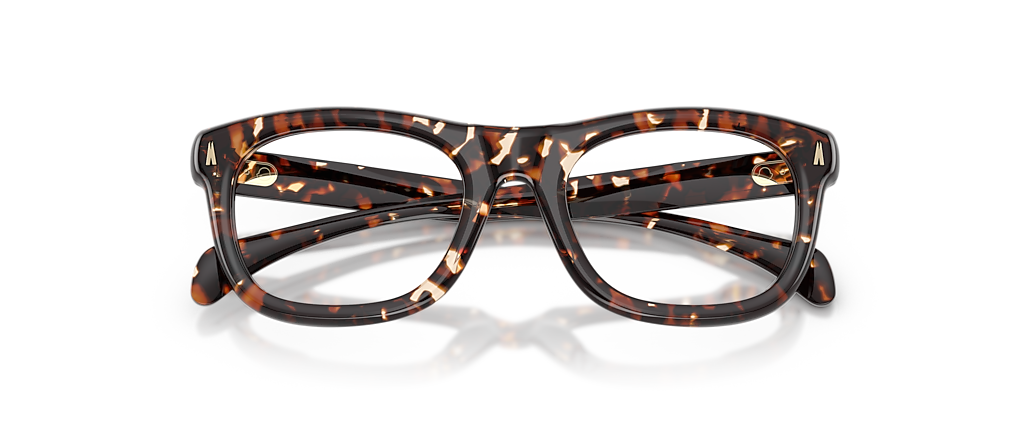 Moncler ME2040 Meteore Shiny Butter Havana Frames