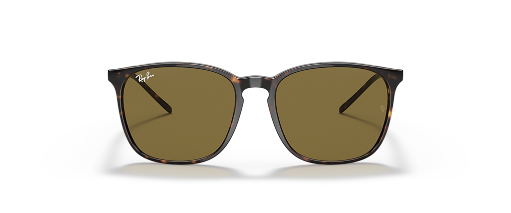 Ray-Ban RB4387F Tortoise Sunglasses