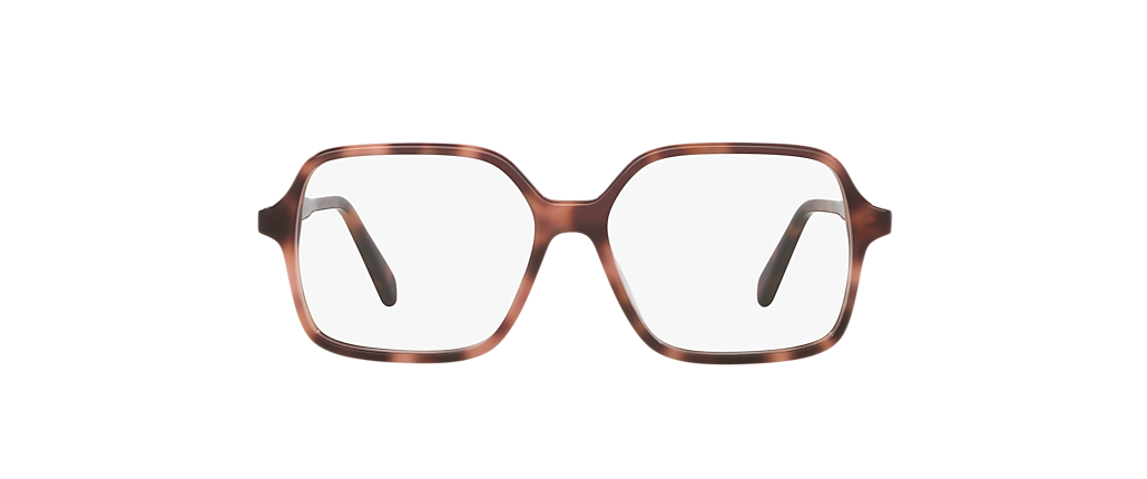 Celine CL50126I Tortoise Frames