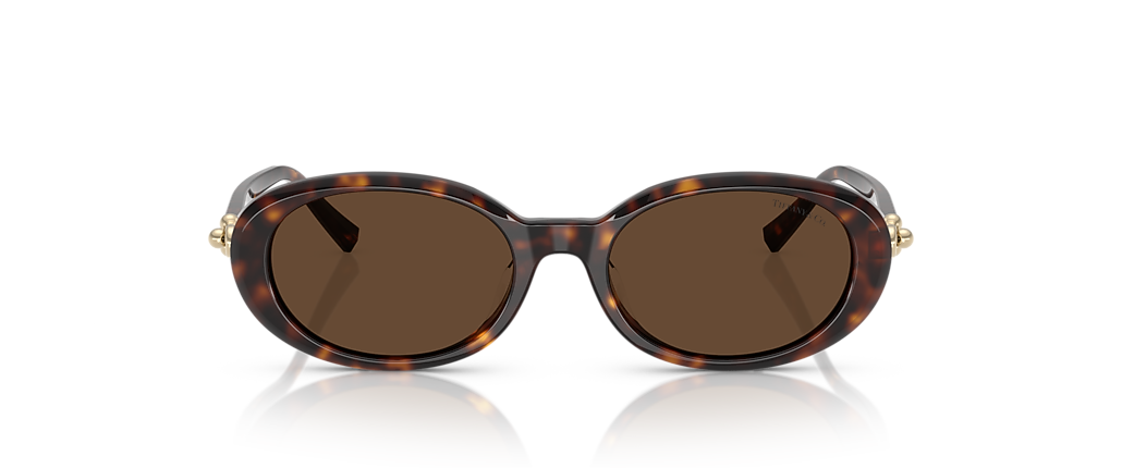 Tiffany & Co. TF4242D Havana Sunglasses