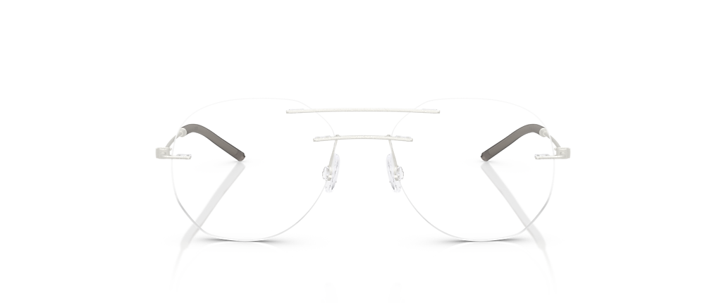 Moncler ME1003 Matte Silver Frames