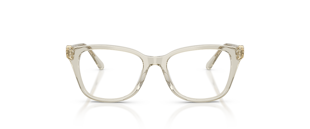 Swarovski SK2073 Transparent Beige Frames