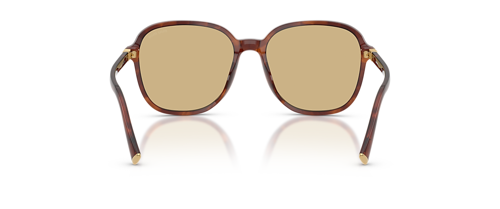 Miu Miu MU B01S Striped Tobacco Sunglasses