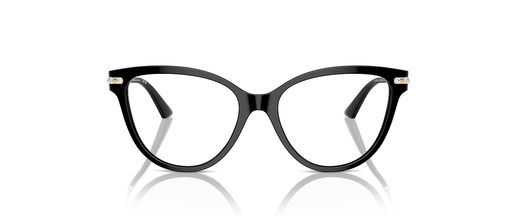 Jimmy Choo JC3001B Black Frames