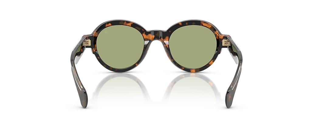 Moncler ME6003F Rondosa Brown Green Havana Sunglasses