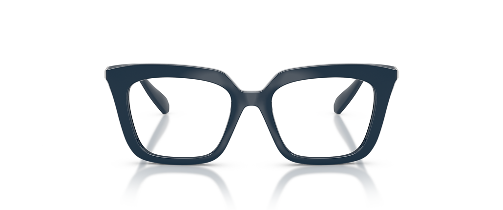 Swarovski SK2043 Blue Frames