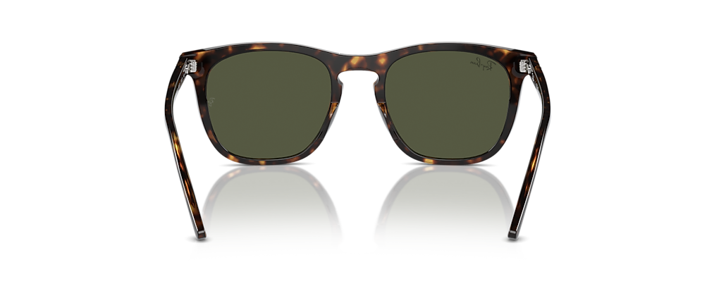 Ray-Ban RB2210F Havana Sunglasses