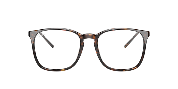 Ray-Ban RB5387 Optics