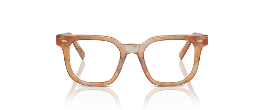Miu Miu MU 06XVF Havana Cream Frames