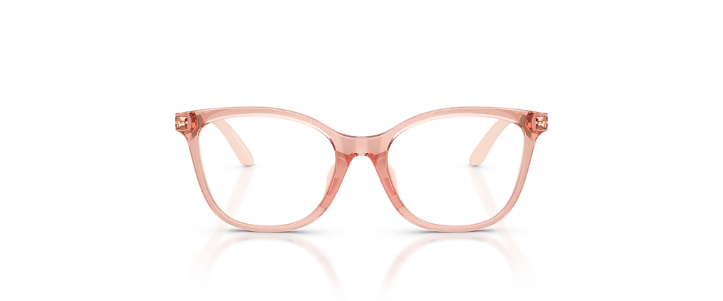 Emporio Armani EK3011U Shiny Transparent Pink Frames