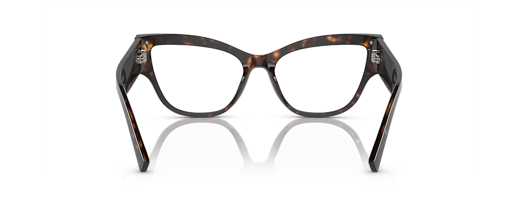 Dolce&Gabbana DG3378 Havana Frames