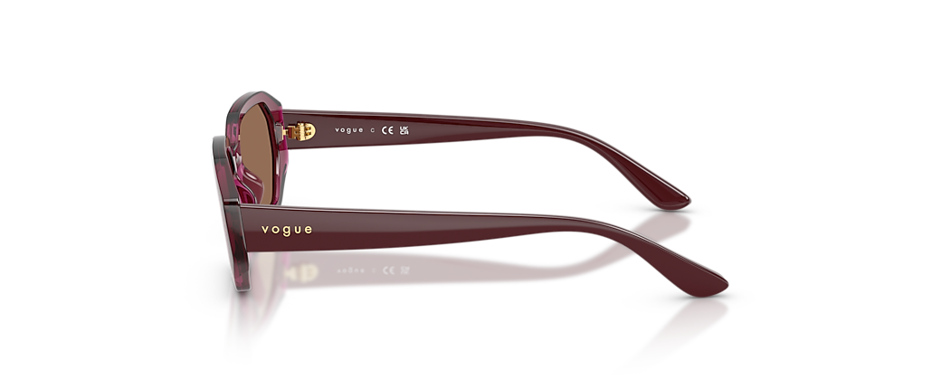Vogue Eyewear VJ2034 Transparent Burgundy Sunglasses