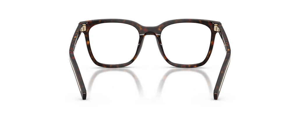 Prada PR B11V Root Tortoise Frames