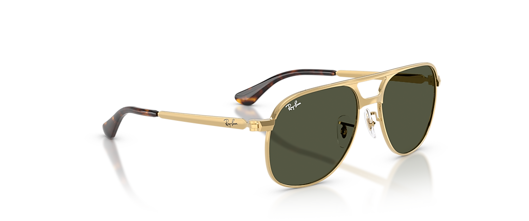 Ray-Ban RB3793 Bill Max Arista Sunglasses