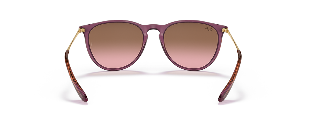 Ray-Ban RB4171 Erika Classic Transparent Violet Sunglasses