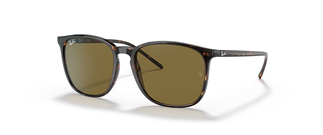 Ray-Ban RB4387F Tortoise Sunglasses
