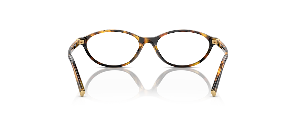 Miu Miu MU 09XVF Honey Havana Frames
