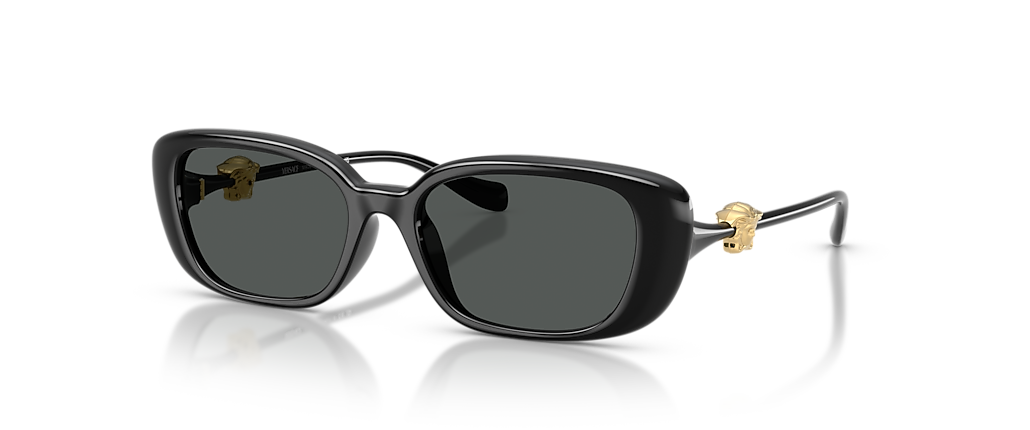 Versace VE4504D Black Sunglasses