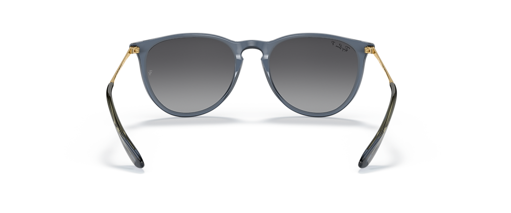 Ray-Ban RB4171 Erika Classic Transparent Blue Sunglasses