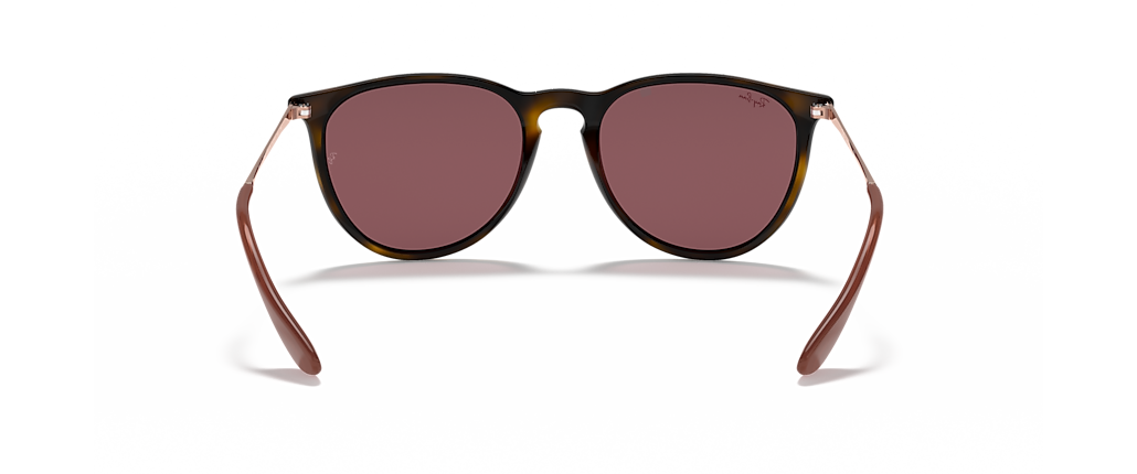 Ray-Ban RB4171 Erika Color Mix Havana Sunglasses