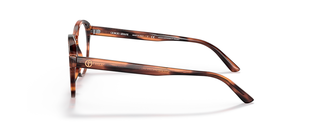 Giorgio Armani AR7206F Striped Brown Frames
