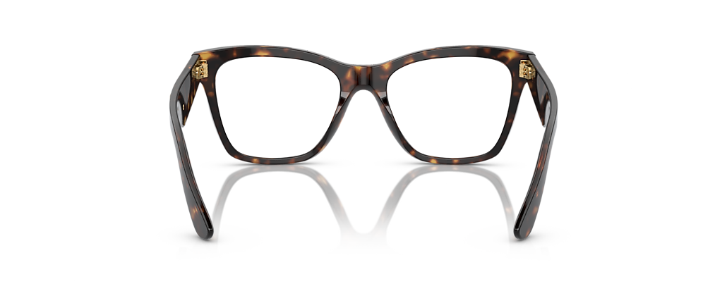 Dolce&Gabbana DG3374 Havana Frames