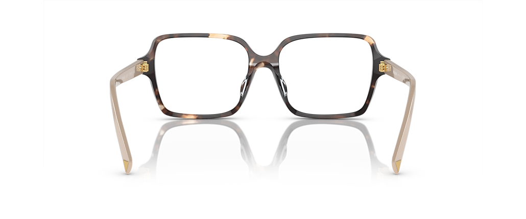 Prada PR A02V Havana Caramel Frames