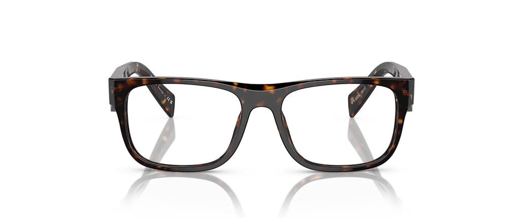 Prada PR 22ZVF Loden/Black Frames