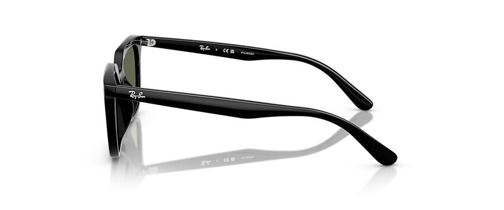 Ray-Ban RB4439D Black Sunglasses