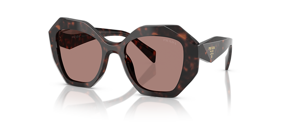 Prada PR 16WS Root Tortoise Sunglasses