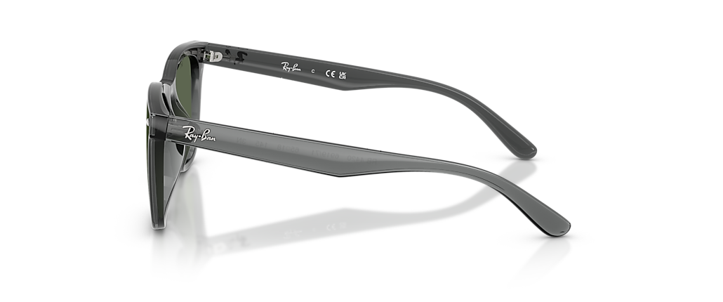Ray-Ban RB4420 Transparent Grey Sunglasses