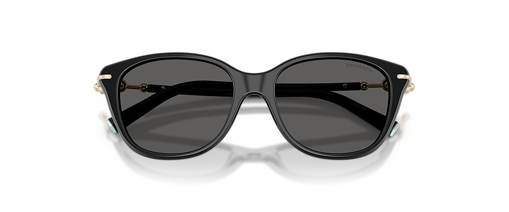 Tiffany & Co. TF4267 Black Sunglasses