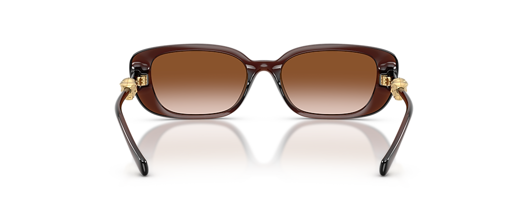 Versace VE4504D Transparent Brown Sunglasses