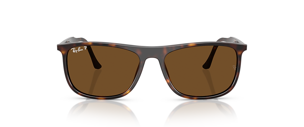 Ray-Ban RB2216F Havana Sunglasses