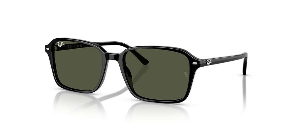 Ray-Ban RB2231 Raimond Black Sunglasses