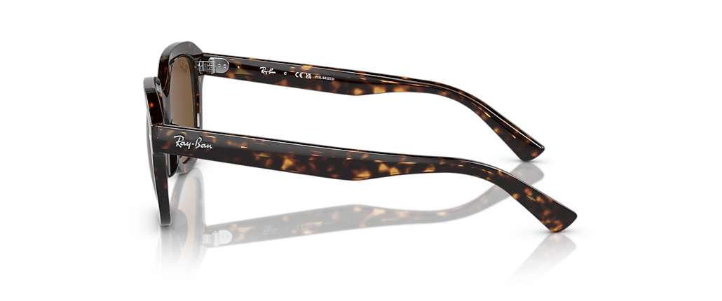 Ray-Ban RB4398 Erik Havana Sunglasses
