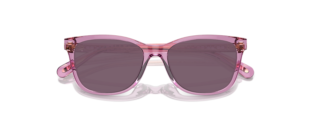 Coach HC6235U Transparent Amethyst Frames